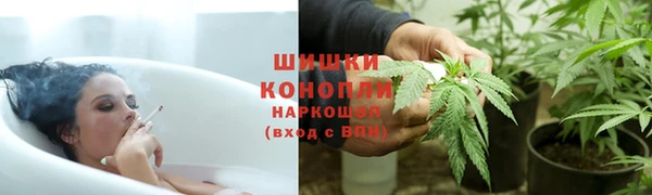 ГАЛЛЮЦИНОГЕННЫЕ ГРИБЫ Белокуриха