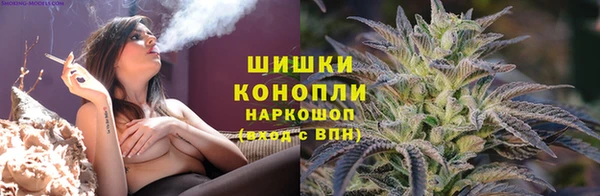 ГАЛЛЮЦИНОГЕННЫЕ ГРИБЫ Белокуриха