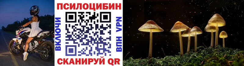 Псилоцибиновые грибы Psilocybine cubensis где продают наркотики KRAKEN рабочий сайт Саяногорск